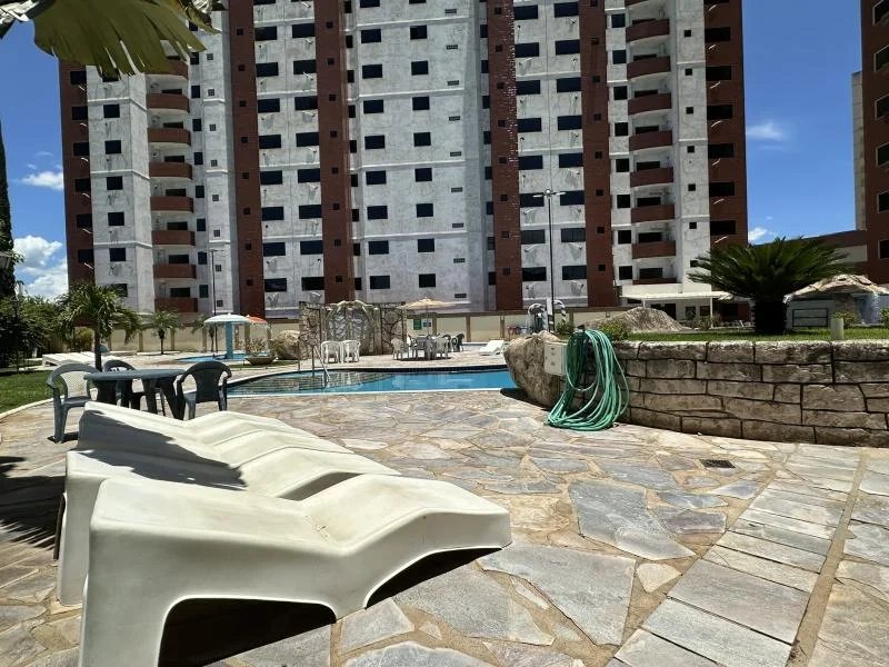 Foto GOLDEN DOLPHIN SUPREME